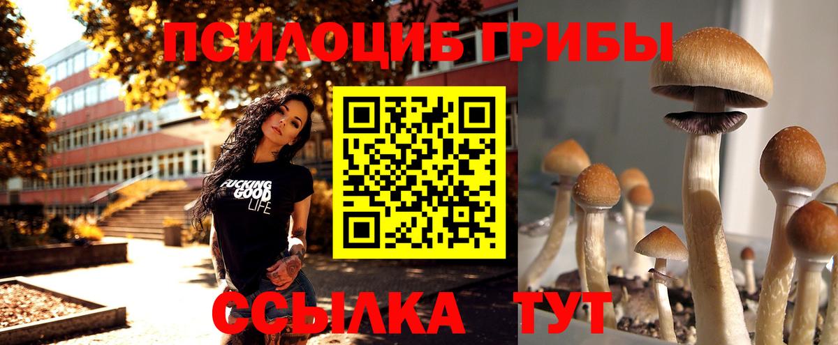 даркнет сайт  Галлюциногенные грибы прущие грибы  Галлюциногенные грибы прущие грибы  Вход с VPN  Спасск-Дальний 