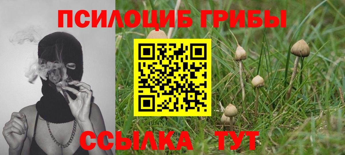 Псилоцибиновые грибы мухоморы Спасск-Дальний